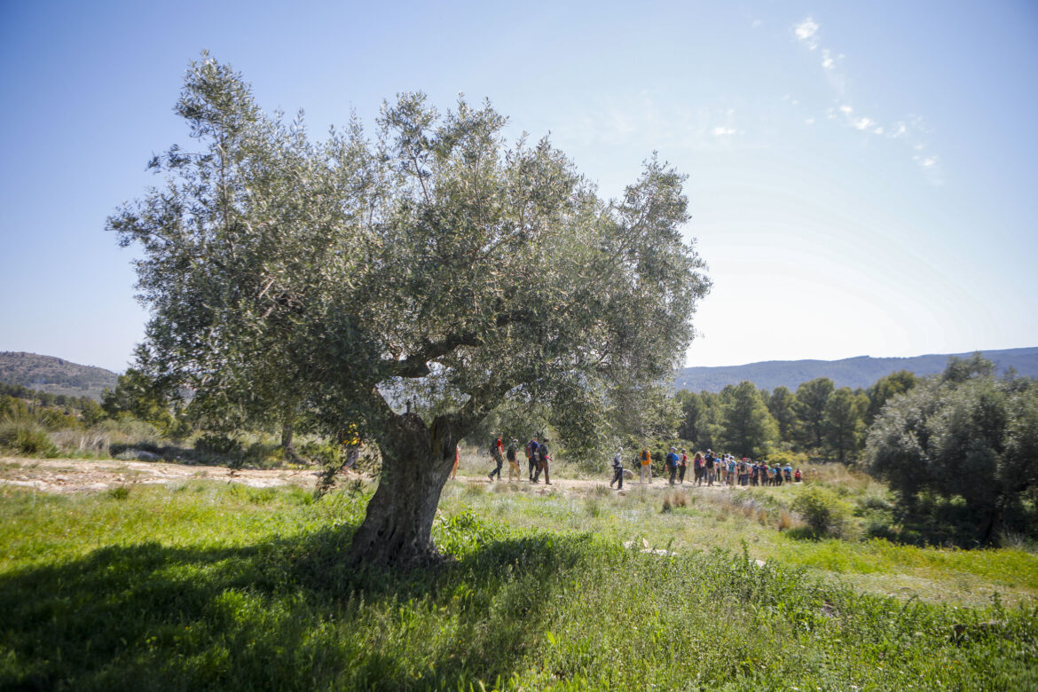 El sol primaveral, protagonista de las Rutas de Senderismo de la Diputación de Albacete, en Casas Ibáñez y Socovos