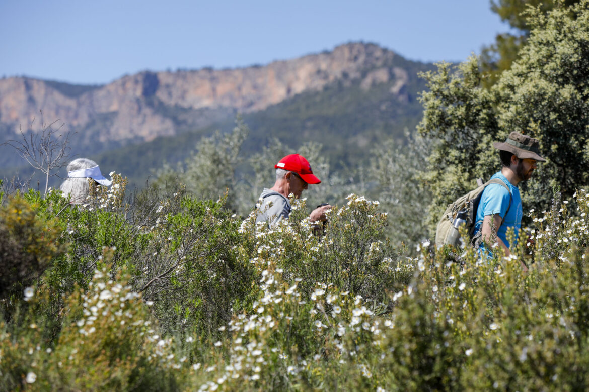El sol primaveral, protagonista de las Rutas de Senderismo de la Diputación de Albacete, en Casas Ibáñez y Socovos