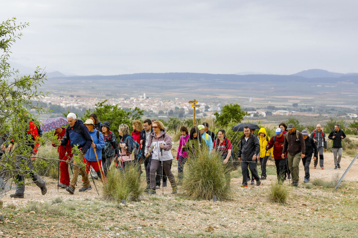 Deslumbrantes las nuevas Rutas de Senderismo de la Diputación de Albacete, en Ontur y Fuentealbilla