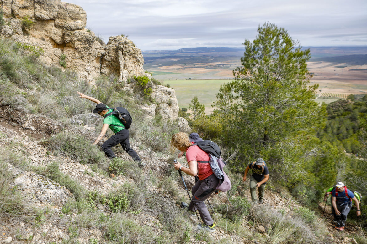 Deslumbrantes las nuevas Rutas de Senderismo de la Diputación de Albacete, en Ontur y Fuentealbilla