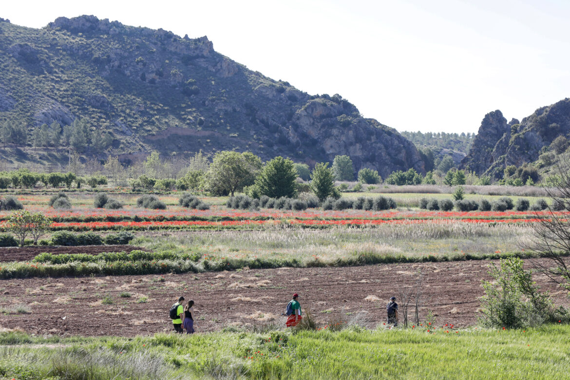 Deslumbrantes las nuevas Rutas de Senderismo de la Diputación de Albacete, en Ontur y Fuentealbilla