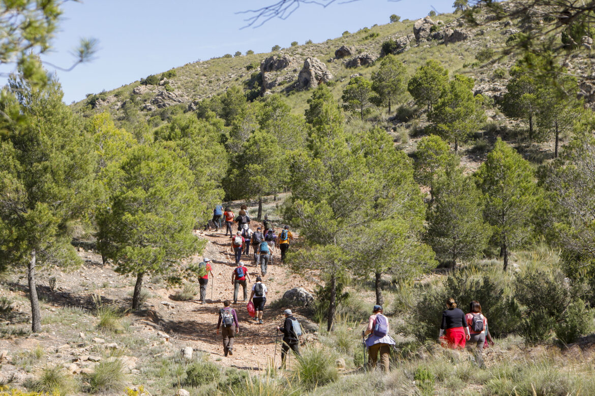 Deslumbrantes las nuevas Rutas de Senderismo de la Diputación de Albacete, en Ontur y Fuentealbilla