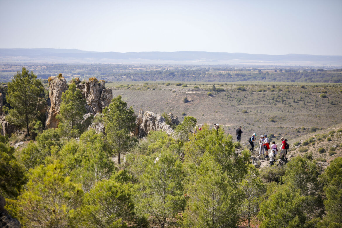 Deslumbrantes las nuevas Rutas de Senderismo de la Diputación de Albacete, en Ontur y Fuentealbilla