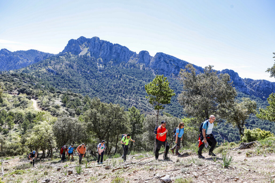 La Sierra de Alcaraz, protagonista de las Rutas de Senderismo de la Diputación, en Bienservida y Villaverde de Guadalimar