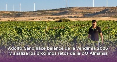 Adolfo Cano hace balance de la vendimia 2026 y analiza los próximos retos de la DO Almansa